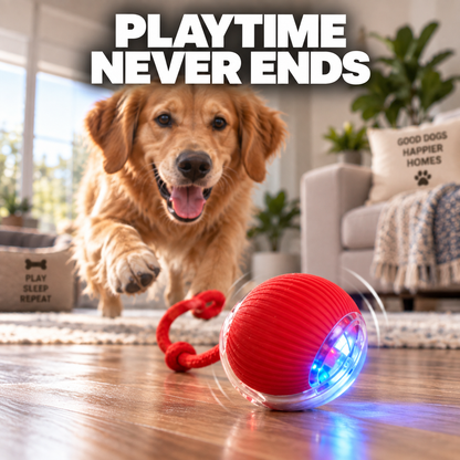 Smart Rolling Pet Ball
