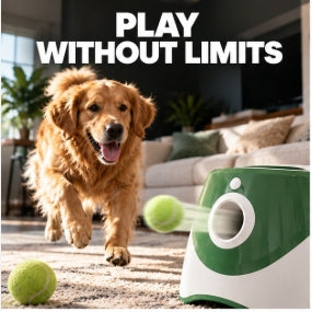 Automatic Tennis Ball Launcher