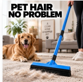 Pet Hair Removal Broom