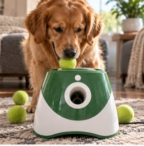 Automatic Tennis Ball Launcher
