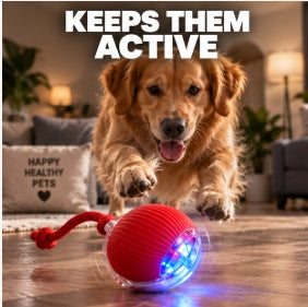 Smart Rolling Pet Ball