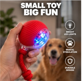 Smart Rolling Pet Ball