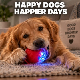 Smart Rolling Pet Ball