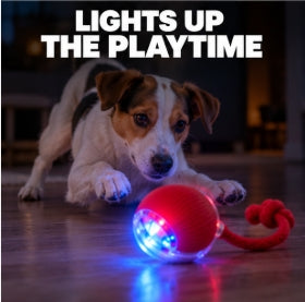 Smart Rolling Pet Ball