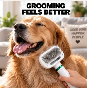 Portable  2 In 1 Dog Hair Dryer