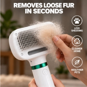 Portable  2 In 1 Dog Hair Dryer