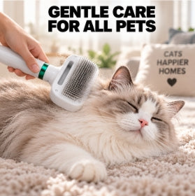 Portable  2 In 1 Dog Hair Dryer
