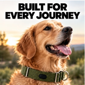 Adjustable Nylon Dog Collar