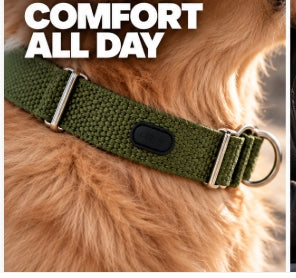 Adjustable Nylon Dog Collar