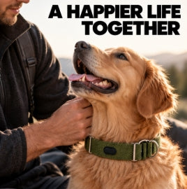 Adjustable Nylon Dog Collar